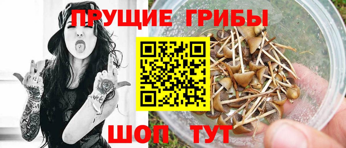 Псилоцибиновые грибы MAGIC MUSHROOMS Ржев