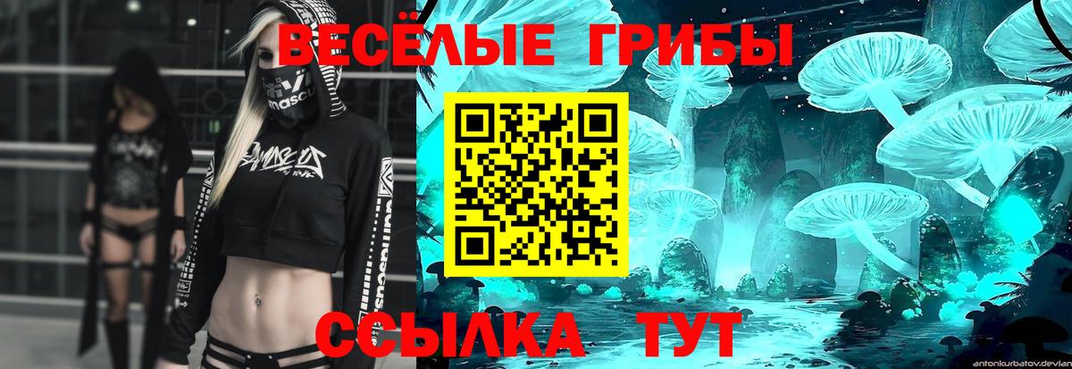 купить наркотик  Галлюциногенные грибы ЛСД  Псилоцибиновые грибы Magic Shrooms  Вход с VPN  Ржев 